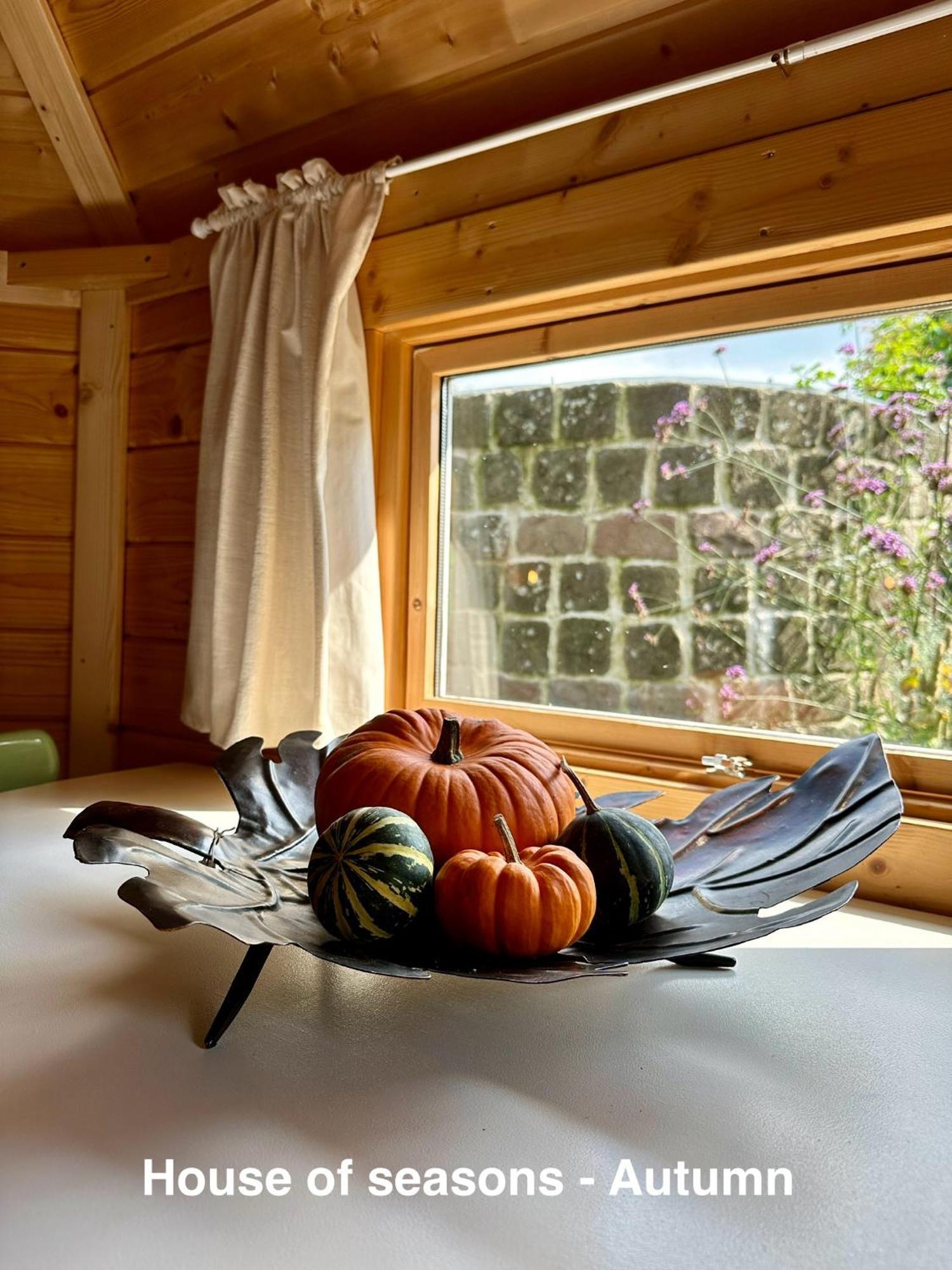 B&B Cosy Garden Alblasserdam Δωμάτιο φωτογραφία