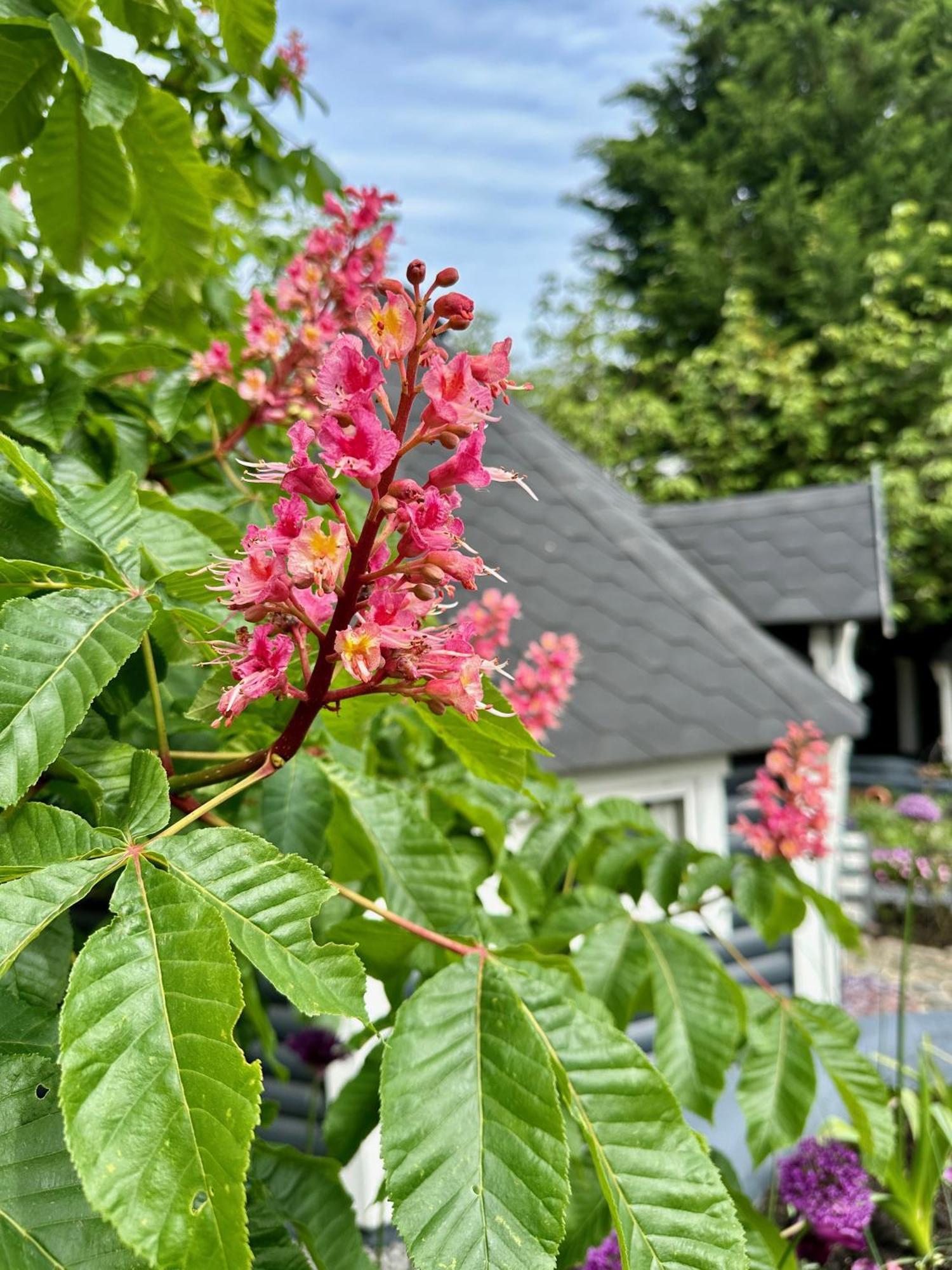 B&B Cosy Garden Alblasserdam Εξωτερικό φωτογραφία